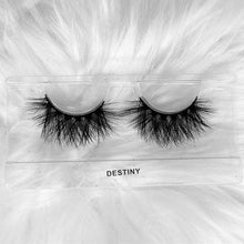 Load image into Gallery viewer, Destiny